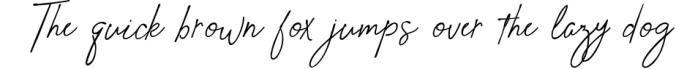 Julies Pen a Hand Written Script Elegant Font Font Preview