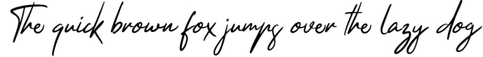Thankfully Stylish Script Font Preview