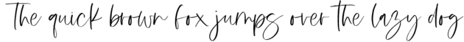 Moonstone - A Handwritten Script Font Font Preview