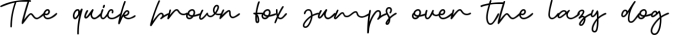 Orabelle Semi Signature Fonts Font Preview