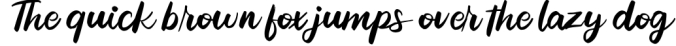 Reffin | Modern Script Font Font Preview