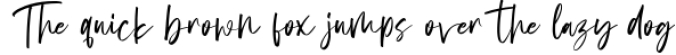 Angelwine - Handwritten Font Font Preview