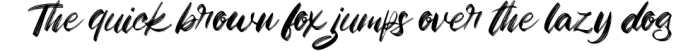 Zigas | Modern Brush Font Font Preview