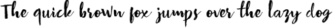 Strenght Script Brush Font Preview
