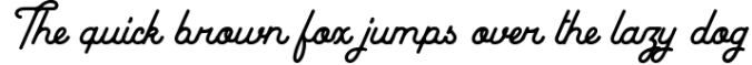 Baheula Script Typeface Font Preview