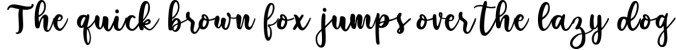 Hello Diary - Lovely Theme Calligraphy Font Preview