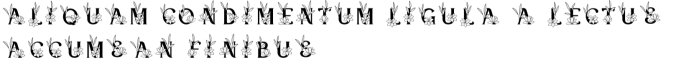 Kafina Monogram Font Preview