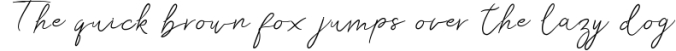 Rei Biensa - Casual Signature Script Typeface Font Preview