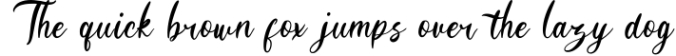 Hanessy Feminine Script Font Preview