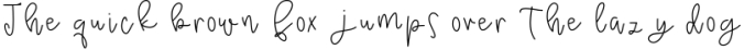 Raspberry - A Handwritten Script Font Font Preview
