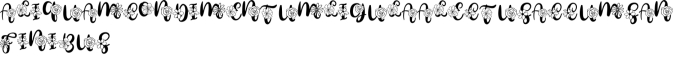 Sunshine Monogram Font Preview