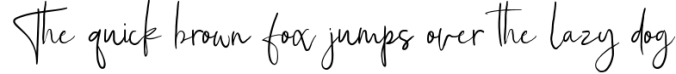 Dominisme Handwritten Font Font Preview