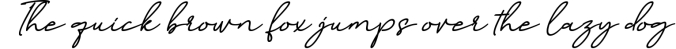 Birmingham Signature Font Preview