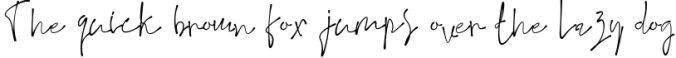 Ink signature Font Preview