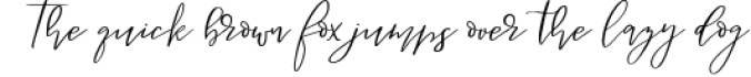 Besotted Modern Calligraphy Script Font Preview