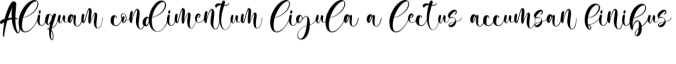Camila Audrey Font Preview