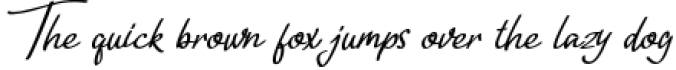 Tripolitania Stylish Handwritting Script Font Font Preview