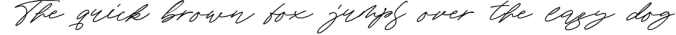 Advisor - Textured Signature Font Font Preview