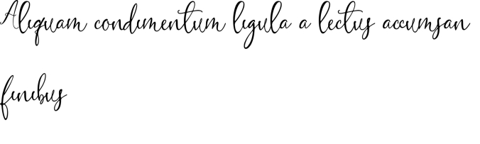 Rodriguez Font Preview