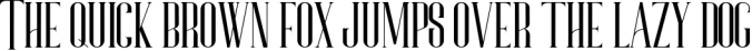 Bonjour - An Elegant & Luxury Typeface Font Preview