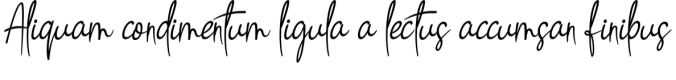 Signature Font Preview