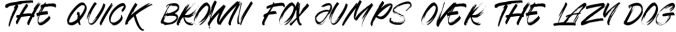 Thosca Brush - Display Brush Font Font Preview