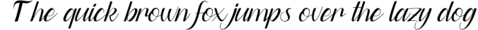 Dianora - Handwritten Script Font Font Preview