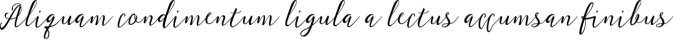 Wandella Font Preview