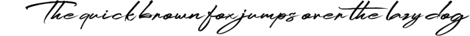 Ridenation - Handwritten Font Font Preview