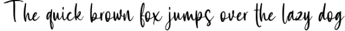 Boermase - Casual Handwritten Font Font Preview