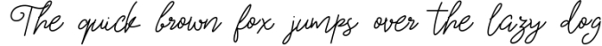 Amanda Vinola Handwritten Script Font Font Preview