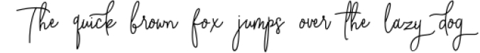 Absolute Nature Handwritten Script Font Font Preview