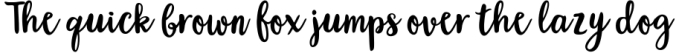 Blossom Script Font Preview