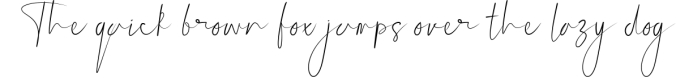 Beasthetic  a Signature Font Script Font Preview