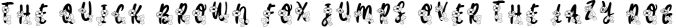 Carolina Monogram Font Preview