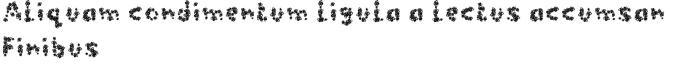 Bees Font Preview