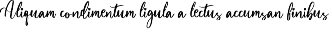 Magnolia Font Preview