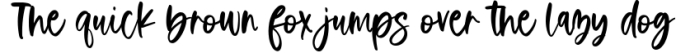 Rustic Charm - A Handwritten Script Font Font Preview