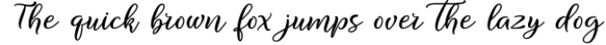 MINI BUNDLE - The fabulous - HANDWRITTEN FONTS Font Preview
