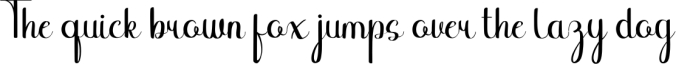 Binttang Selfianto - Modern Script Font Font Preview