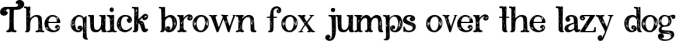 Amkifuny New Brush Serif Display Font Typeface Font Preview