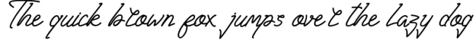 Huntsel Script Font Preview