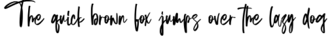 Attila | Modern Calligraphy Font Font Preview