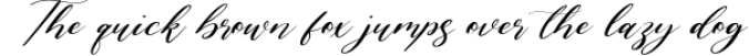 Lavineta Eisley Luxury Calligraphy Font Font Preview