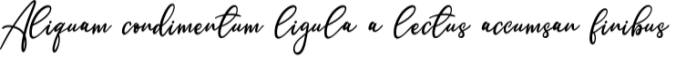 Single Signature Font Preview