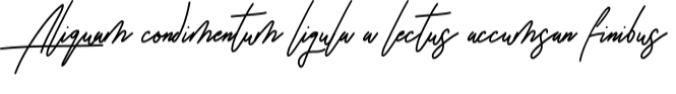 Arion Signature Font Preview