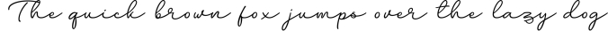 Lavitanie Monoline Script Font Font Preview