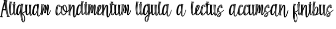 Shine Bloom Font Preview