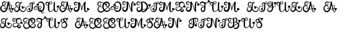 Lovey Monogram Font Preview