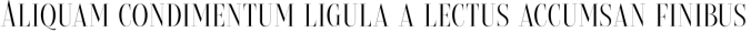Brioche Font Preview